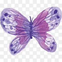 水彩紫色蝴蝶-空若网 水彩紫色蝴蝶-空若网