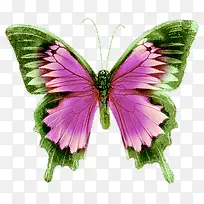 手绘水彩蝴蝶装饰素材-空若网 手绘水彩蝴蝶装饰素材-空若网