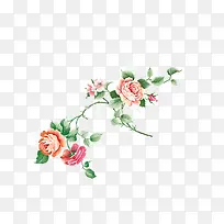 富贵花素材图片-空若网 富贵花素材图片-空若网