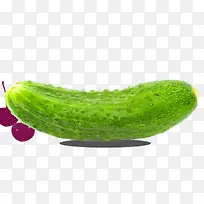 青色苦瓜立体蔬菜-空若网 青色苦瓜立体蔬菜-空若网