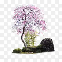 产品实物园林-空若网 产品实物园林-空若网