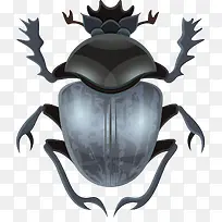 知了矢量-空若网 知了矢量-空若网