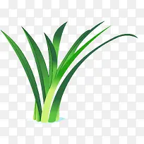 ����С��-������