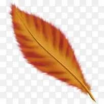 羽毛图片矢量羽毛-空若网 羽毛图片矢量羽毛-空若网