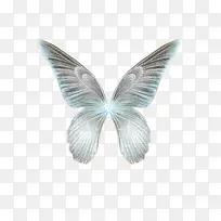 可爱翅膀图片 梦幻蝴蝶翅膀-空若网 可爱翅膀图片 梦幻蝴蝶翅膀-空若网