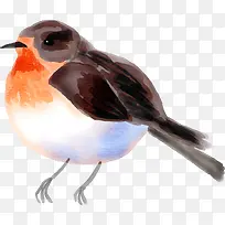 水彩动物可爱小鸟-空若网 水彩动物可爱小鸟-空若网