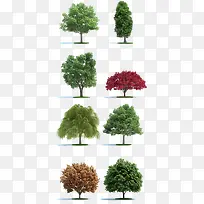 一组绿色植物树素材-空若网 一组绿色植物树素材-空若网