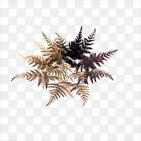 С��-������