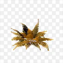 黄叶-空若网 黄叶-空若网