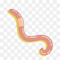 卡通蚯蚓AI矢量素材-空若网 卡通蚯蚓AI矢量素材-空若网