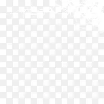 ��֦-������