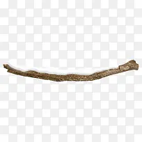 白色枯枝-空若网 白色枯枝-空若网