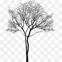 高清摄影冬天的在室外的树木-空若网 高清摄影冬天的在室外的树木-空若网