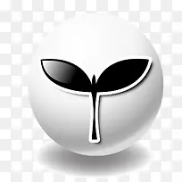 白色的发芽图-空若网 白色的发芽图-空若网