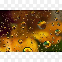 玻璃水珠鲜花背景-空若网 玻璃水珠鲜花背景-空若网