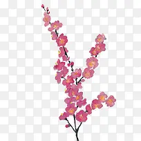 梅花树枝-空若网 梅花树枝-空若网