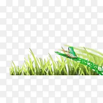 ÍܲÝÍÜ-¿ÕÈôÍø ÍܲÝÍÜ-¿ÕÈôÍø