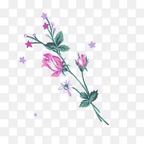 �ֻ��ɫõ�廨-������