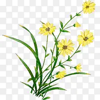 手绘野花素材-空若网 手绘野花素材-空若网