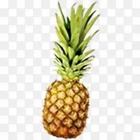 ģ������ˮ������-������