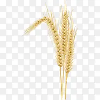 ʸÁ¿Âó×Ó×°ÊÎÉè¼ÆËØ²Ä-¿ÕÈôÍø ʸÁ¿Âó×Ó×°ÊÎÉè¼ÆËØ²Ä-¿ÕÈôÍø