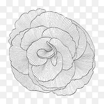 边框设计-空若网 边框设计-空若网