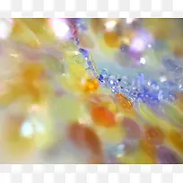 彩色钻石奢华贵气-空若网 彩色钻石奢华贵气-空若网