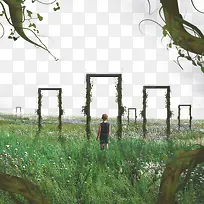 ��ɫ����ֲ���ű���-������