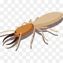 手绘风格阴影白蚁-空若网 手绘风格阴影白蚁-空若网