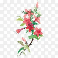 水彩花卉素材-空若网 水彩花卉素材-空若网