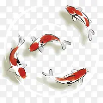 矢量锦鲤-空若网 矢量锦鲤-空若网