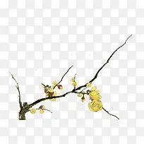 手绘腊梅花素材-空若网 手绘腊梅花素材-空若网