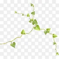 草-空若网 草-空若网