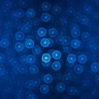 蓝色圆圈背景-空若网 蓝色圆圈背景-空若网