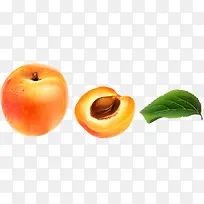 矢量大红杏-空若网 矢量大红杏-空若网