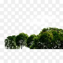 ������ز�-������