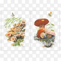 卡通手绘蘑菇素材图片-空若网 卡通手绘蘑菇素材图片-空若网