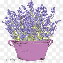 Þ¹Ò²ÝÅèÔÔͼ-¿ÕÈôÍø Þ¹Ò²ÝÅèÔÔͼ-¿ÕÈôÍø