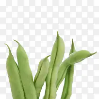 有机豆角-空若网 有机豆角-空若网