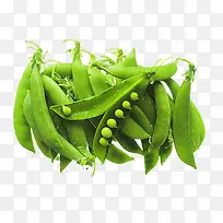 豌豆-空若网 豌豆-空若网