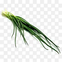 蔬菜葱-空若网 蔬菜葱-空若网
