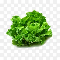 芹菜蔬菜-空若网 芹菜蔬菜-空若网