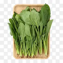 新鲜菠菜-空若网 新鲜菠菜-空若网