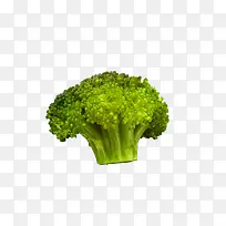 西兰花有机蔬菜-空若网 西兰花有机蔬菜-空若网