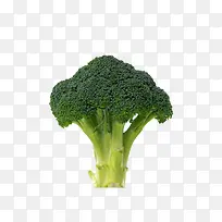 �߲�������-������