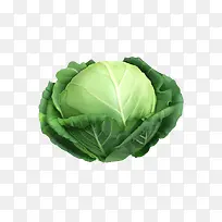 蔬菜包菜-空若网 蔬菜包菜-空若网