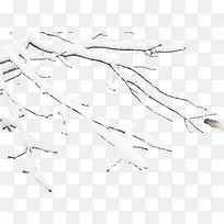 树枝上的雪-空若网 树枝上的雪-空若网