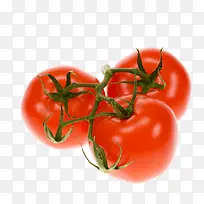 ��ɫ�ķ���-������