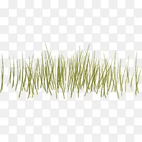 草丛素材图片-空若网 草丛素材图片-空若网