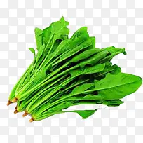 ÐÂÏʲ¤²Ë-¿ÕÈôÍø ÐÂÏʲ¤²Ë-¿ÕÈôÍø